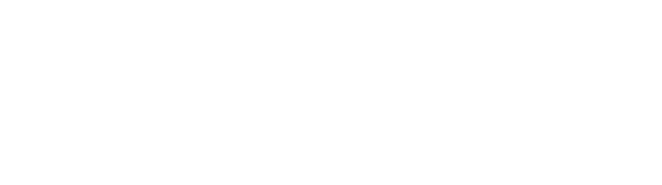 VectorVMS